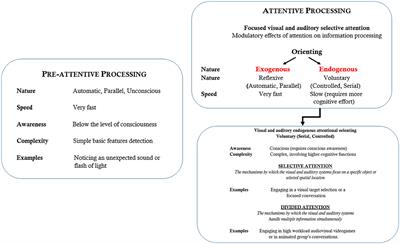 From oxygen shortage to neurocognitive challenges: behavioral patterns and imaging insights